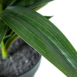 Planta Decorativa Alexandra House Living Lilium Plástico 35 cm