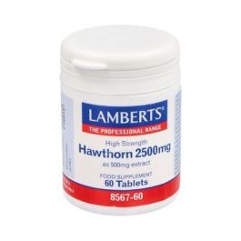 LAMBERTS Espino Blanco 2500Mg 60Comprimidos Precio: 22.6900003. SKU: B12WFT5JCQ