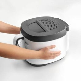 Delonghi FS3021 Freidora Eléctrica 1800W 2L con Recipiente Antiadherente