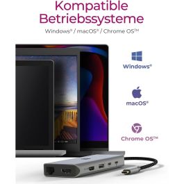 ICY BOX IB-DK4061-CPD USB-C 12-en-1 Docking Station con Power Delivery 100W para Windows, Mac, ChromeOS - Gris