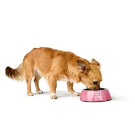 Comedero para Perro Hunter Chester Rosa 350 ml
