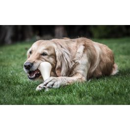 Nylabone Extreme Chew Hueso Masticable de Nylon Sabor Ternera XXL para Perros Grandes (+23kg), Juguete Duradero Limpieza Dental