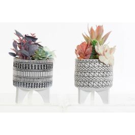DKD Home Decor Planta Decorativa Artificial Cactus Boho Resina PE Multicolor 11x11x21 cm (2 Unidades)