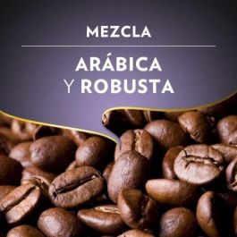 Lavazza 2023 Café en Grano Espresso Barista Intenso 500g, Intensidad 9, Notas Cacao y Madera, Arábica Robusta Lavazza 2023 Café en Grano Espresso Barista Intenso 500g, Intensidad 9, Notas Cacao y Madera, Arábica Robusta