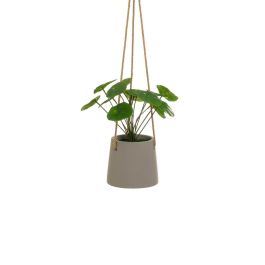 Planta Decorativa Polietileno Cemento 23 x 19 x 24 cm Precio: 19.49999942. SKU: B1JDFH6FR4