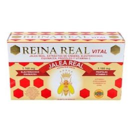 ROBIS Reina Real Vital Jalea Real, Ginseng Rojo, Eleuterococo y Echinacea. 30 Ampollas Precio: 22.4999995. SKU: B1DLVA9HF5