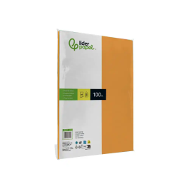 Liderpapel Papel Color A4 80gr Naranja Paquete de 100 Hojas