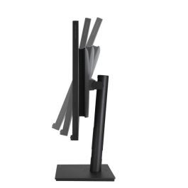 Asus Monitor Profesional ProArt Display PA329CV 32" 4K UHD HDR USB-C 90W Regulable en Altura Negro