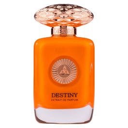 Destiny, Extracto de perfume, Para hombres, 100 ml Precio: 48.89999983. SKU: B19BFZFHGA