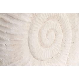 DKD Home Decor Hangzhou design 26b Decoración Mediterráneo Blanco Cemento Simil Piedra Caracola 21 x 4 x 15.5 cm (2 Unidades)