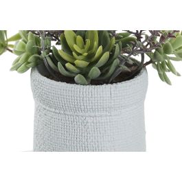 Planta DKD Home Decor Rosa Verde Menta 10 x 18 x 18 cm (4 Unidades)