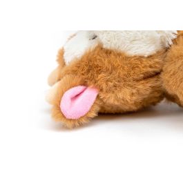 Gloria Banjo Peluche Para Perros Blandito Con Sonido Ideal Razas Pequeñas Precio: 6.50000021. SKU: B1AKMHCE7D