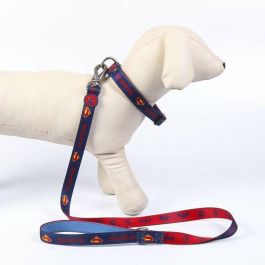 DC Pets t2s:s Correa Premium para Perros, Talla S, Azul DC Pets t2s:s Correa Premium para Perros, Talla S, Azul