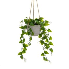 Planta Decorativa Polietileno Cemento 23 x 23 x 46 cm Precio: 22.49999961. SKU: B1J5HPPBXP