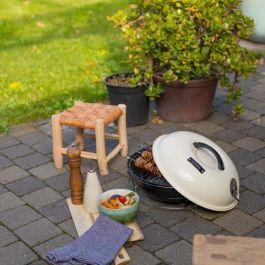 Livoo DOC301 Barbacoa de Carbón Portátil Ø34 cm, Parrilla Cromada, Acero Esmaltado, Champán y Negro Livoo DOC301 Barbacoa de Carbón Portátil Ø34 cm, Parrilla Cromada, Acero Esmaltado, Champán y Negro