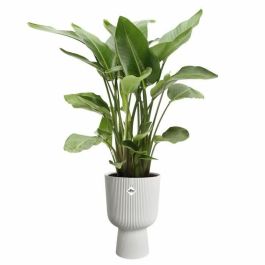 Elho ELH2904503045100 Maceta Vibes Fold Coupe, Blanco, L 30xAn 29.5xAl 45 cm, Interior, 100% Reciclado