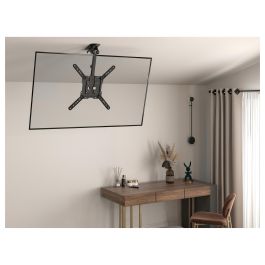 Equip Soporte Techo TV 650375 VESA 400x400 hasta 20kg para Pantallas 23"-55"