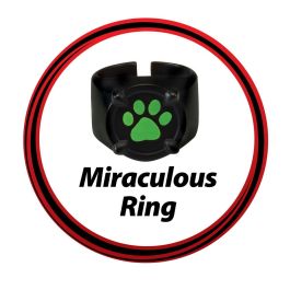 Bandai Miraculous Conjunto de Transformación Gato Negro - Incluye Máscara, Joyas, Kwami y Accesorio Mágico para Niños +4 años