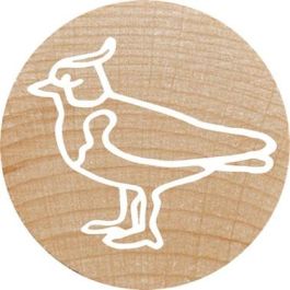 COLOP 165224 Set de sellos de madera y caucho Woodies "Exotic Animation", redondos, 3 cm de diámetro, 12 unidades