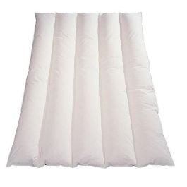Blanreve Edredón Ligero de Microfibra 100% Poliéster, Relleno de Fibra Hueca Siliconada 200g/m², 200 x 200 cm, Blanco Blanreve Edredón Ligero de Microfibra 100% Poliéster, Relleno de Fibra Hueca Siliconada 200g/m², 200 x 200 cm, Blanco
