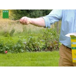 Césped - BHS - Césped de sombra 1kg | 40m² | Resistente a poca luz y zonas sombreadas. Césped - BHS - Césped de sombra 1kg | 40m² | Resistente a poca luz y zonas sombreadas.