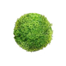 Planta Decorativa Bola Musgo 20 x 20 x 20 cm Precio: 10.50000006. SKU: B1GMZ4SNE3