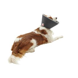 Kruuse Collar Isabelino Foam Buster 7,5 cm 5 Unidades Precio: 92.95000022. SKU: B1J2Z29LA7
