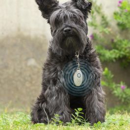 Antiparásitos por Ultrasonidos Recargable para Mascotas PetRep InnovaGoods