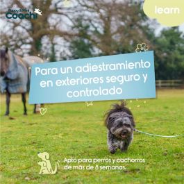 Arnés para Perro Coachi