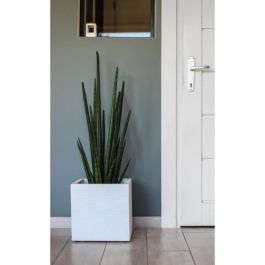 EDA PLASTIQUE Caja de flores cuadrada Graphit Up - 21 L - 29.5 x 29.5 x 29.5 cm - Cerusie blanco EDA PLASTIQUE Caja de flores cuadrada Graphit Up - 21 L - 29.5 x 29.5 x 29.5 cm - Cerusie blanco