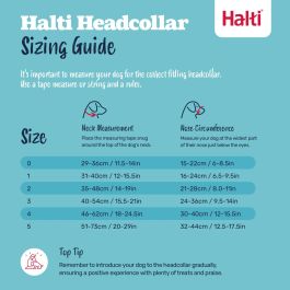 Bozal Company of Animals COBALT Azul 2