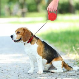 Correa retráctil para perros 3 m colores surtidos lifetime