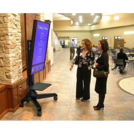 Ergotron NEO-Flex Carro Multimedia para Panel Plano Negro, Soporta Pantallas de 50" a 70"