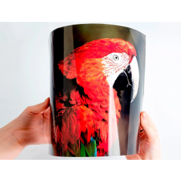 Q-connect KF02163 Papel Fotográfico Glossy A4 260gr Digital Photo Ink-Jet para Impresora Bolsa 20 Hojas Alta Calidad