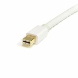 Cables Audio-Video Startech Cable 2M Mini Displayport Dp