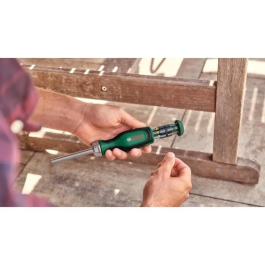 Bosch BOS4053423302233 Destornillador de Carraca con 12 Puntas