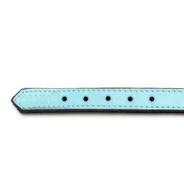 Collar para Perro Gloria 30 cm Acolchado Cuero Azul