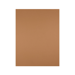 Liderpapel Cartulina Marron Escolar 50x65 cm 240g/m2 Paquete de 25 Hojas