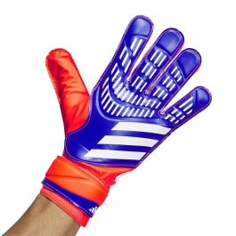 Guantes de Portero Adidas Predator Goalkeeper Multicolor Adultos