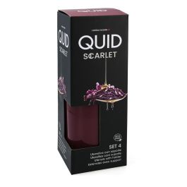 Set 4 Utensilios con Cubo Scarlet Quid 32 cm