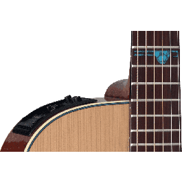 Takamine Fsf40 Guitarra Santa Fe E/A Nex Cutway - Natural