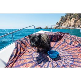 Gloria Comedero Plegable de Silicona con Mosquetón, Portátil para Perros y Gatos, Azul 550 ml