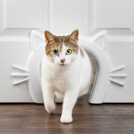 Petsafe PET0729849172272 Paso para gatos Cat Corridor Blanco