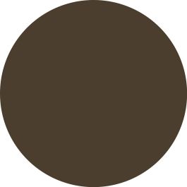 Catrice MICRO BLADE Lápiz para Cejas Resistente al Agua #040-Bold Espresso 0.64 g | Efecto Microblading y Acabado Mate