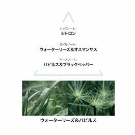 Perfume Mujer Le Couvent des Minimes