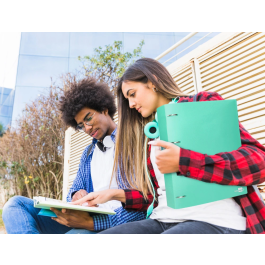 Liderpapel Carpeta 4 Anillas 40 mm DIN A4 Polipropileno Verde Manzana Opaco