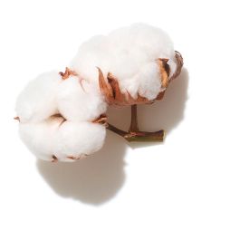 Wella Professionals Invigo Volume Boost Champú Cabello Sin Volumen 1000 ml