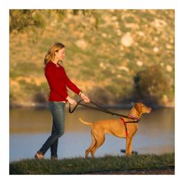 Halti Arnés de Control Delantero, ideal para Perros Medianos y Grandes, Talla L (cintura 80-120cm), Negro-Rojo