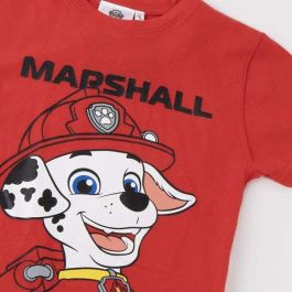 Cerdá Camiseta Corta Single Jersey Paw Patrol 3 Años - Modelos Surtidos