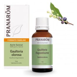 Aceite Esencial Aeqt Gaulteria Olorosa Bio 30 Ml Aceite Esencial Aeqt Gaulteria Olorosa Bio 30 Ml Precio: 20.50000029. SKU: B1FTFLWXNJ